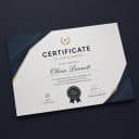 Certificates (A4, 300 GSM) view 2